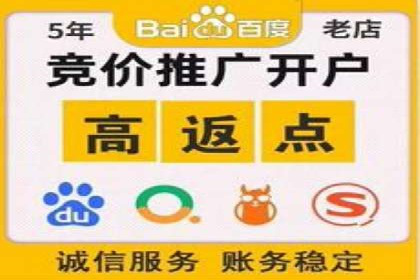 深度解析：SEM竞价优化提升ROI的案例